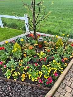 Un parterre de fleurs aux couleurs chatoyantes, un petit arbre et une lumière commémorative au centre.