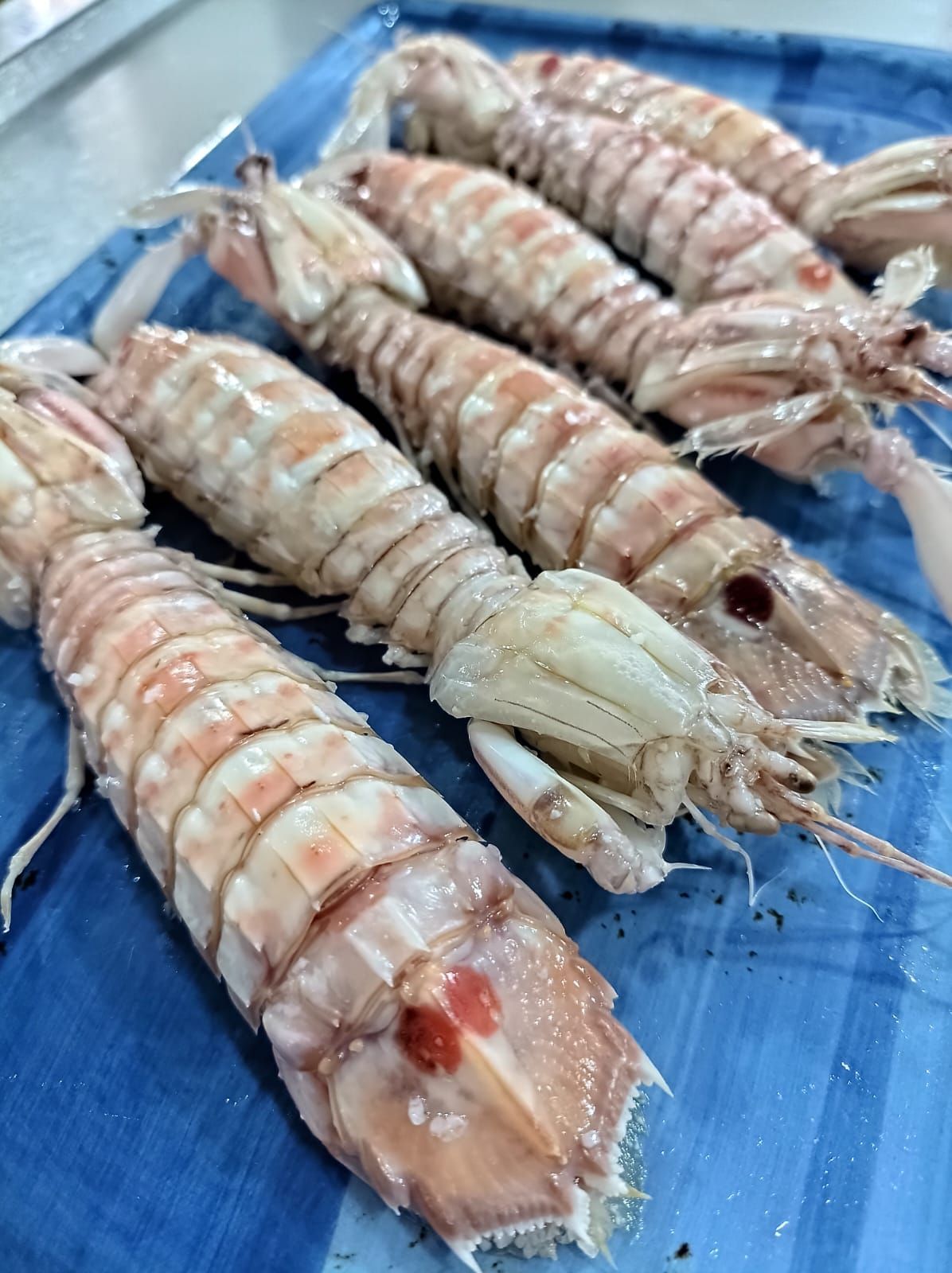 Camarón mantis crudo, de color rosa pálido y tostado, dispuesto en un plato con estampado azul.