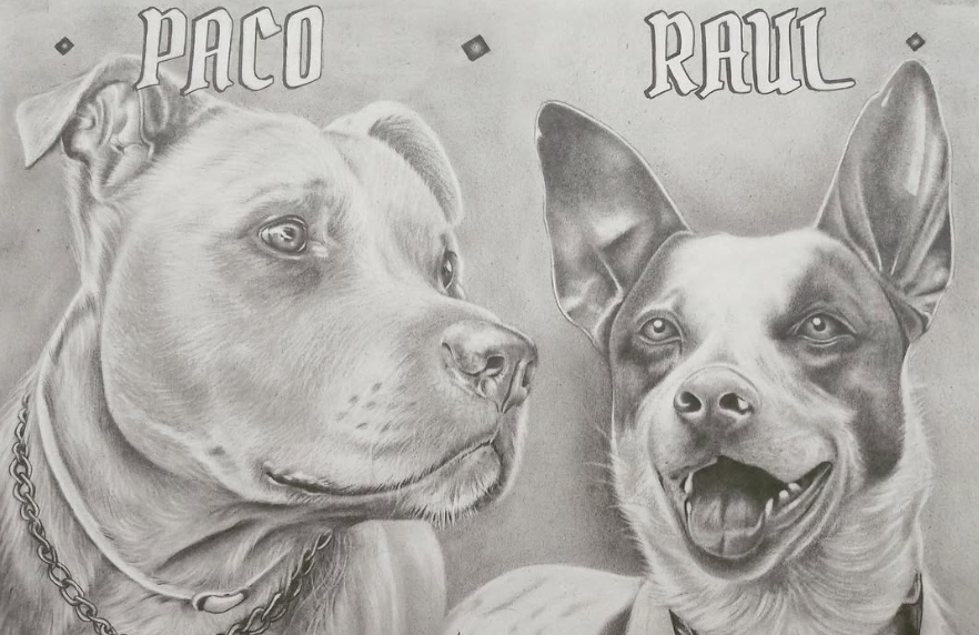 Dos dibujos a lápiz de perros llamados Paco y Raul, uno tranquilo y otro sonriente con las orejas erguidas