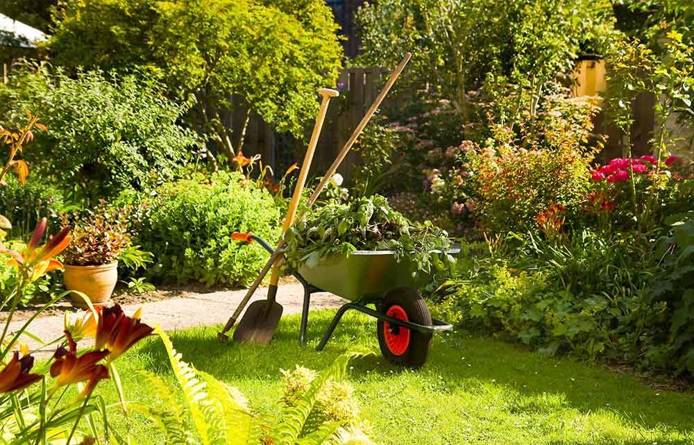 eine Schubkarre voller Pflanzen und Gartengeräte in einem Garten .