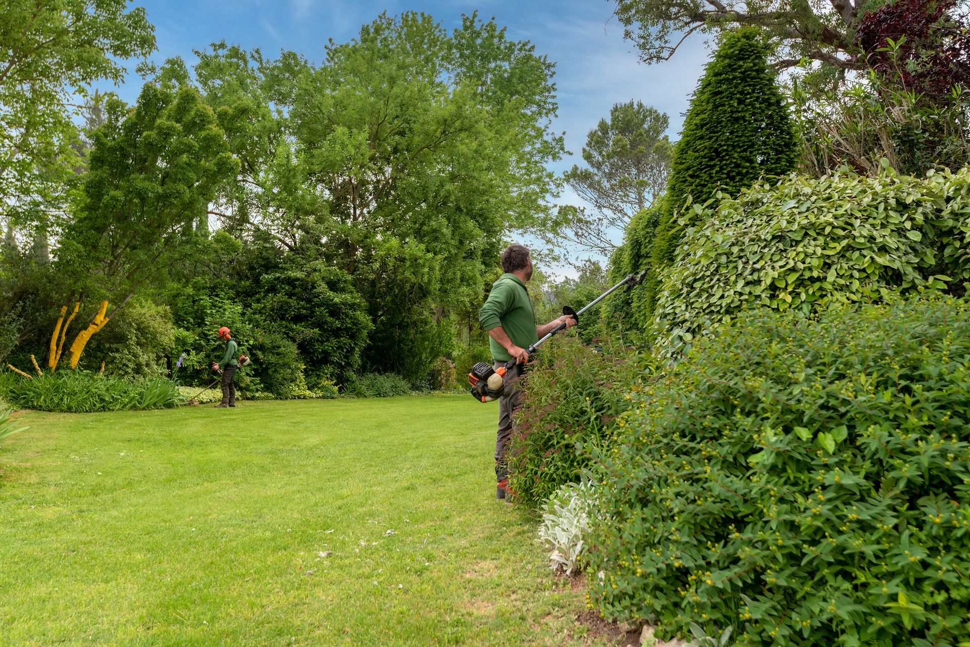Paysagiste de profil qui taille des haies