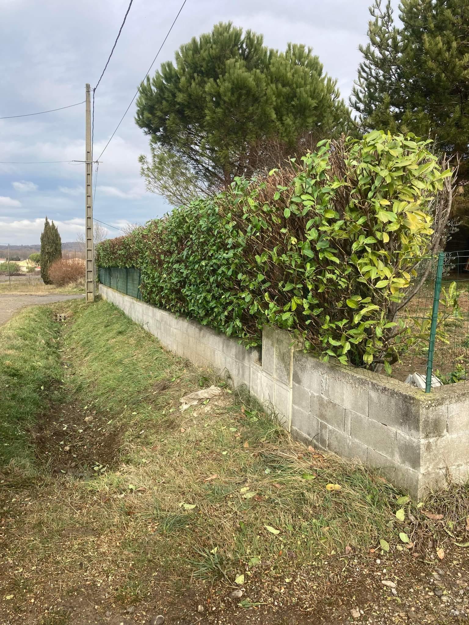 Haie vue de l'extérieur