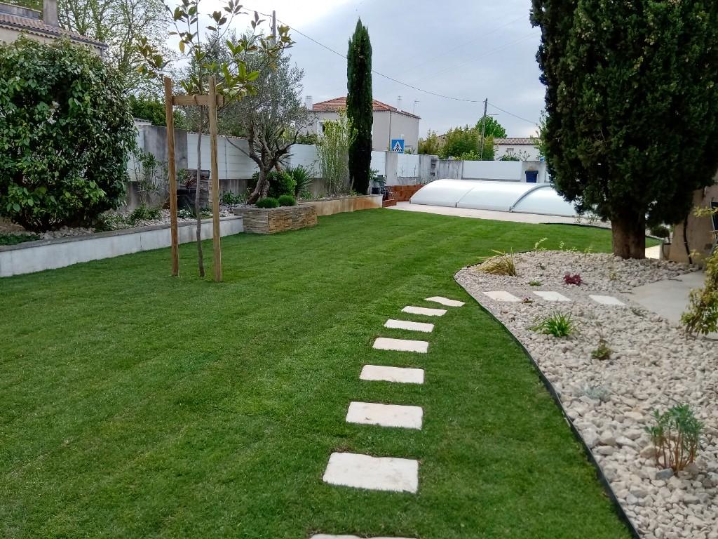 Pelouse tondue et terrain