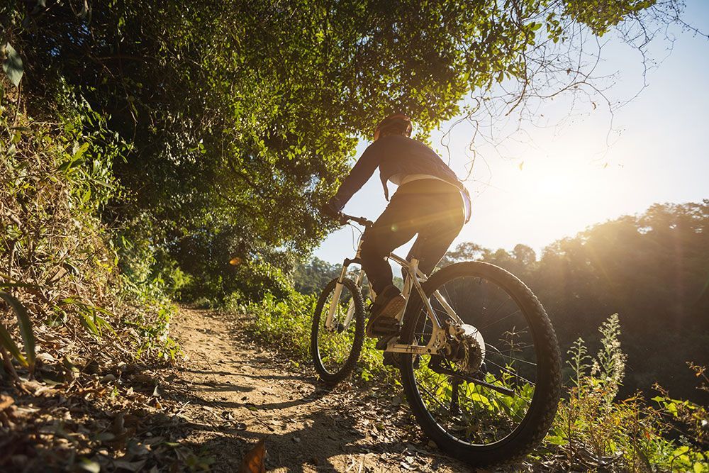 Eine Person fährt mit einem Mountainbike auf einem unbefestigten Weg durch einen sonnenbeschienenen Wald.