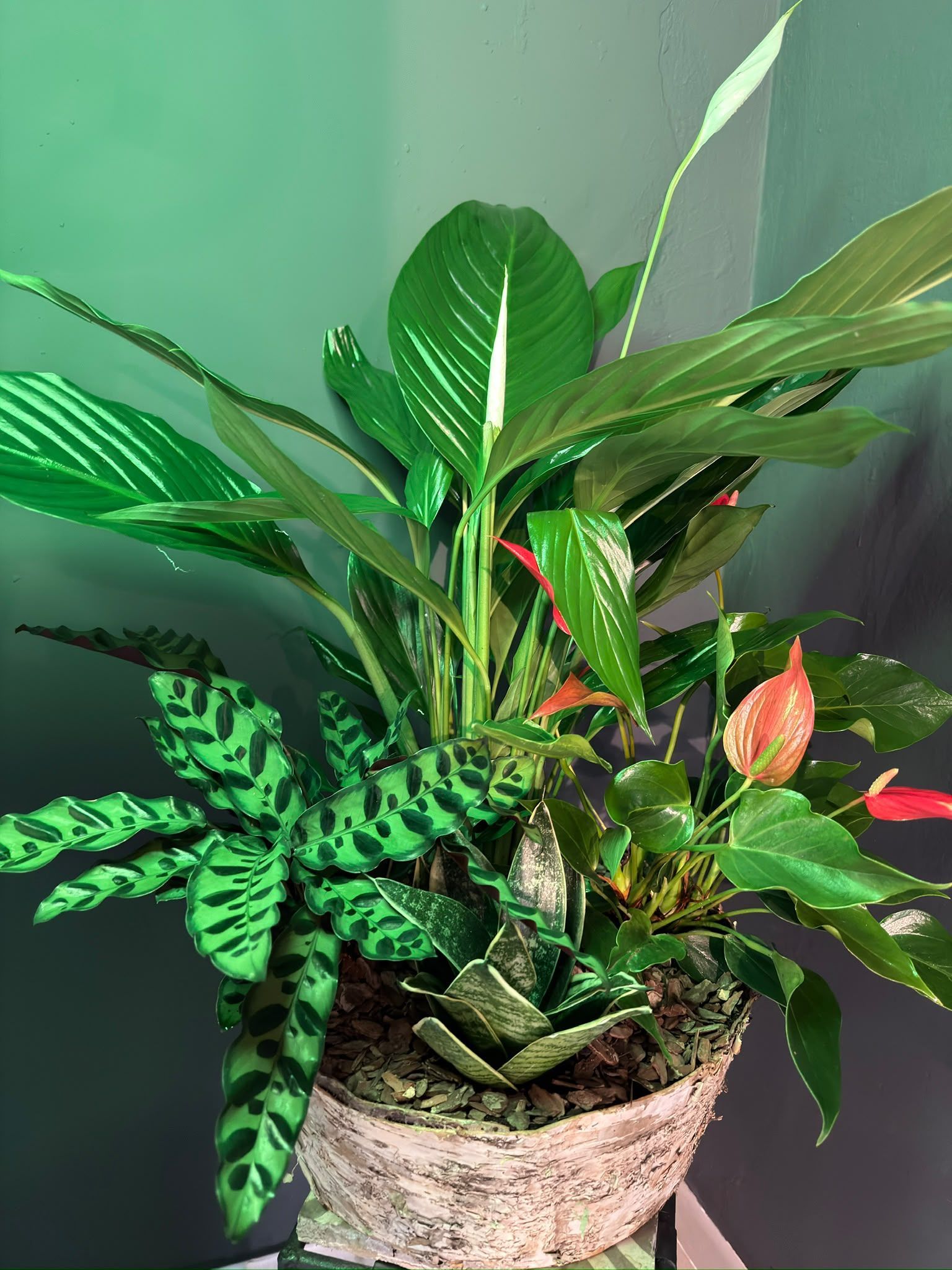 Arte floral adaptado a la identidad de una marca