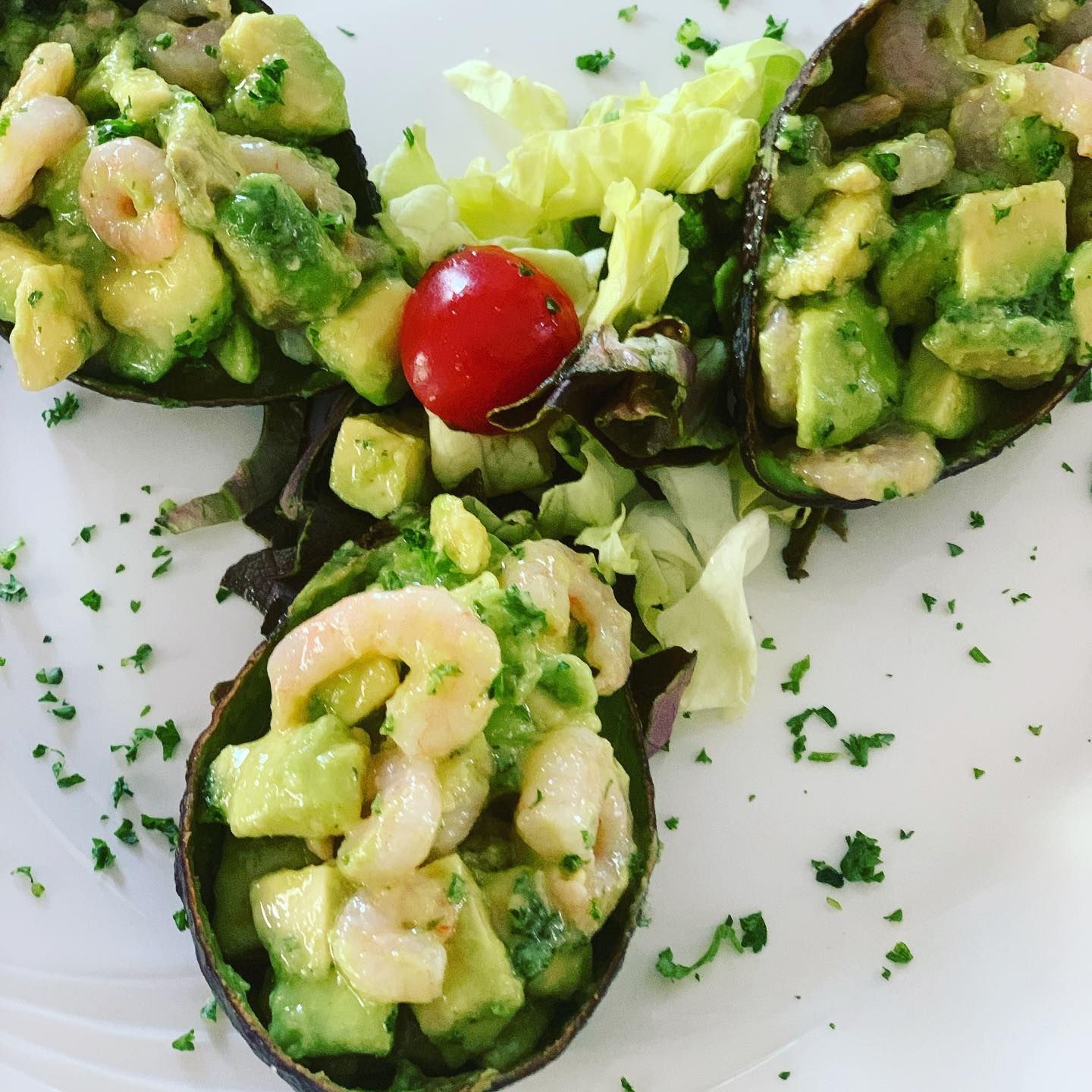 Avocadosalat - La Taverna X GmbH - Zürich Altstetten