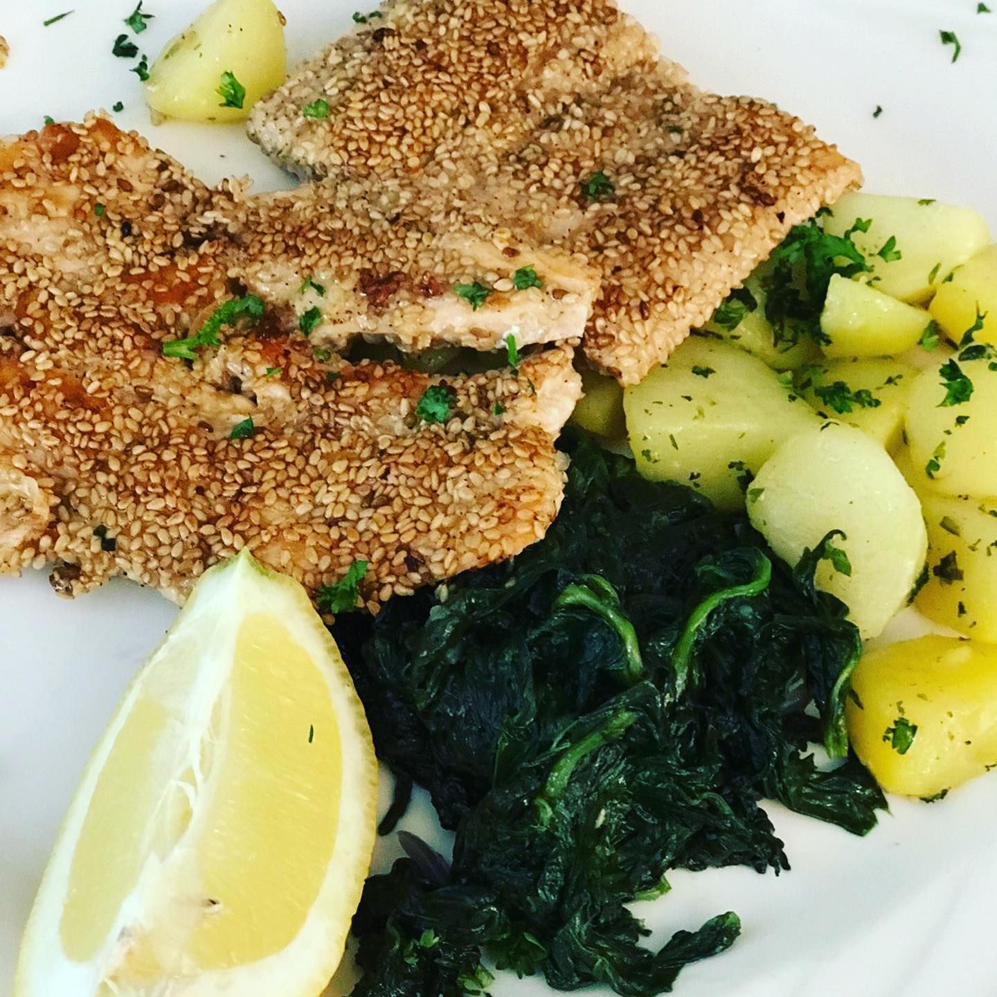 Fisch - La Taverna X GmbH - Zürich Altstetten