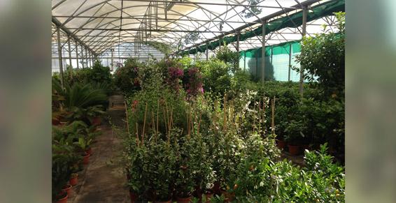 Eugénie les Bains - Dufau Michel