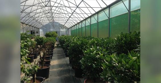 Horticulteur - Pépiniériste