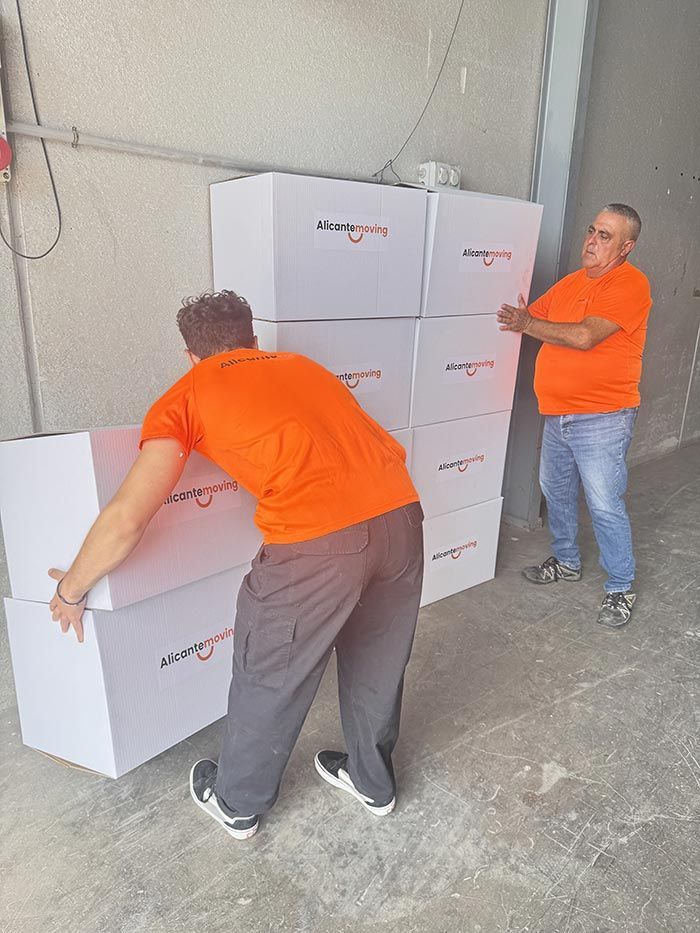Dos trabajadores de mudanzas transportan artículos a una habitación vacía y luminosa con grandes ventanales.