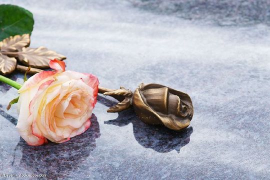 lachsfarbene Rose auf einem Grabstein mit Rosenornament