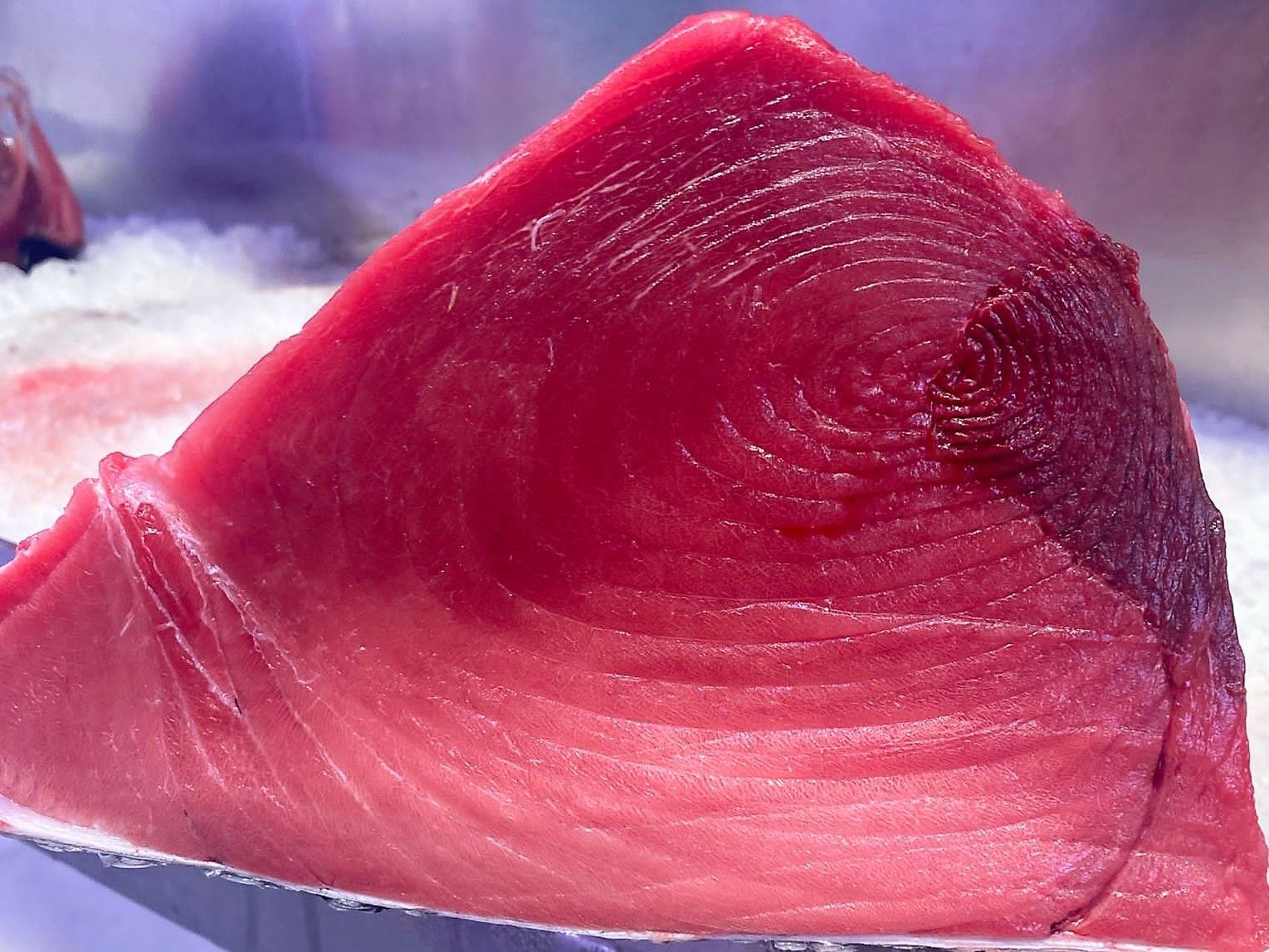 Un primer plano de un trozo de carne roja en hielo.