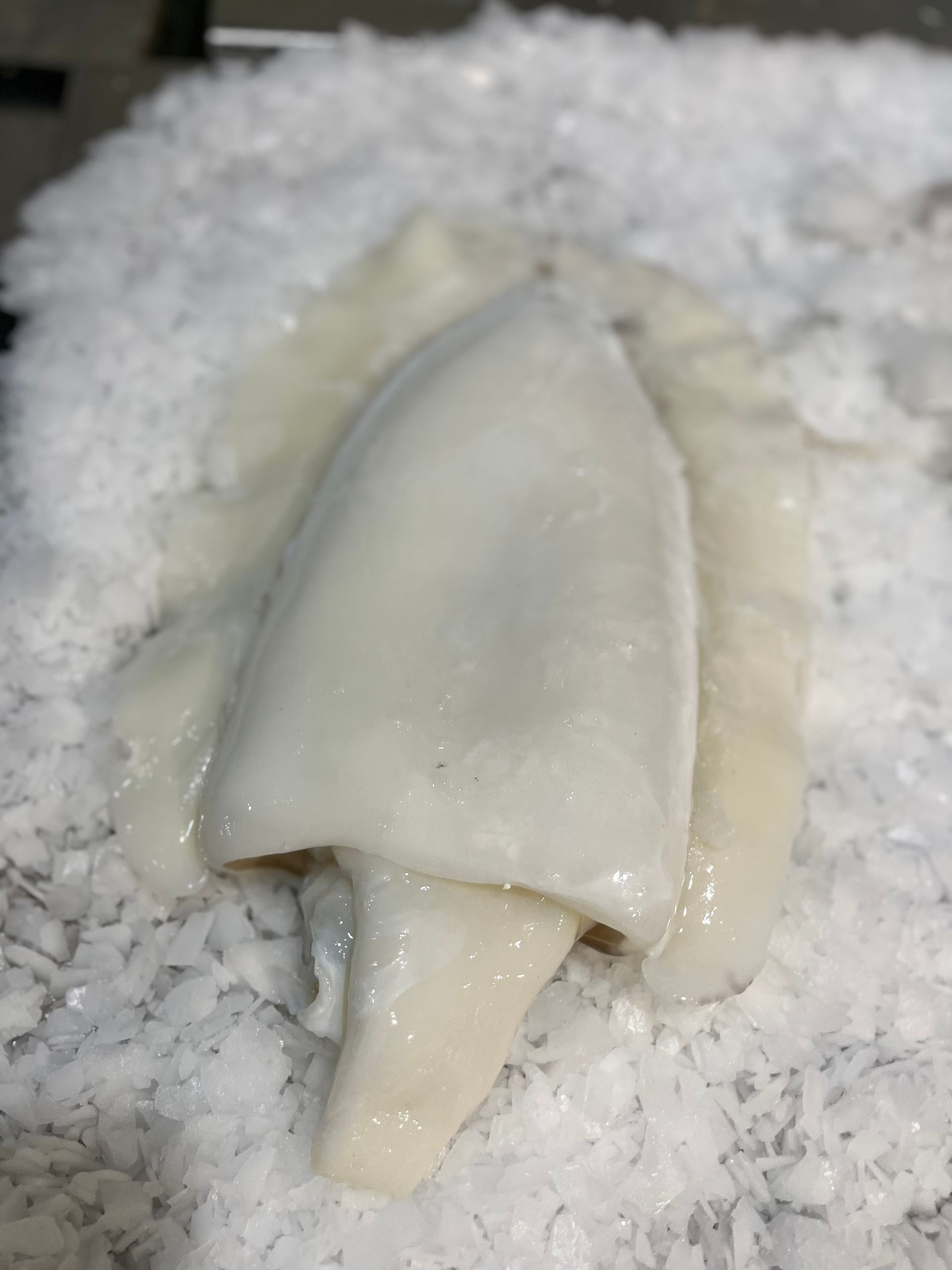 Un trozo de calamar se encuentra encima de una pila de hielo.