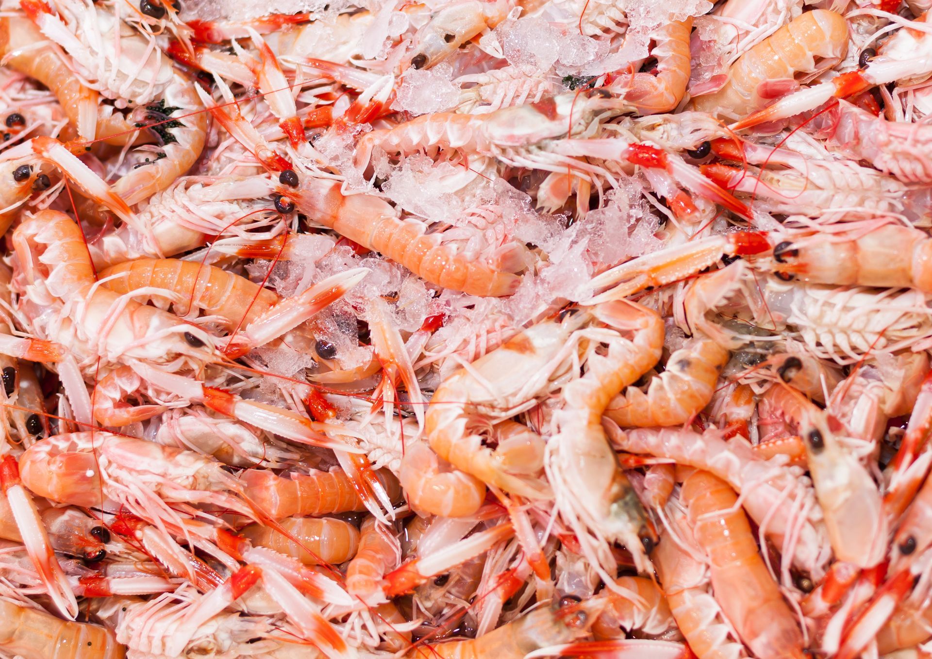 Una pila de camarones está colocada uno encima del otro sobre una mesa.