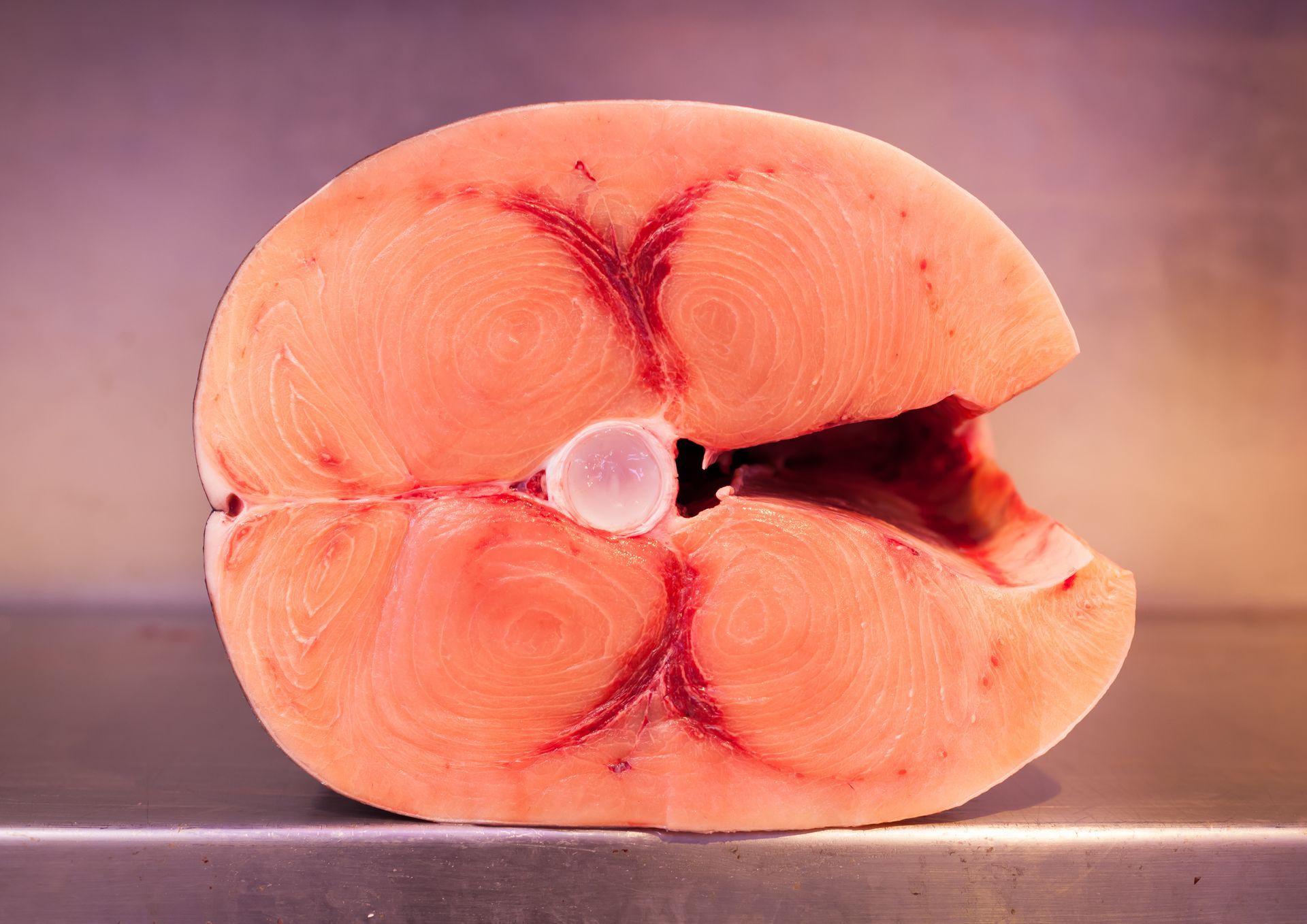 Una rodaja de salmón reposa sobre una superficie metálica.