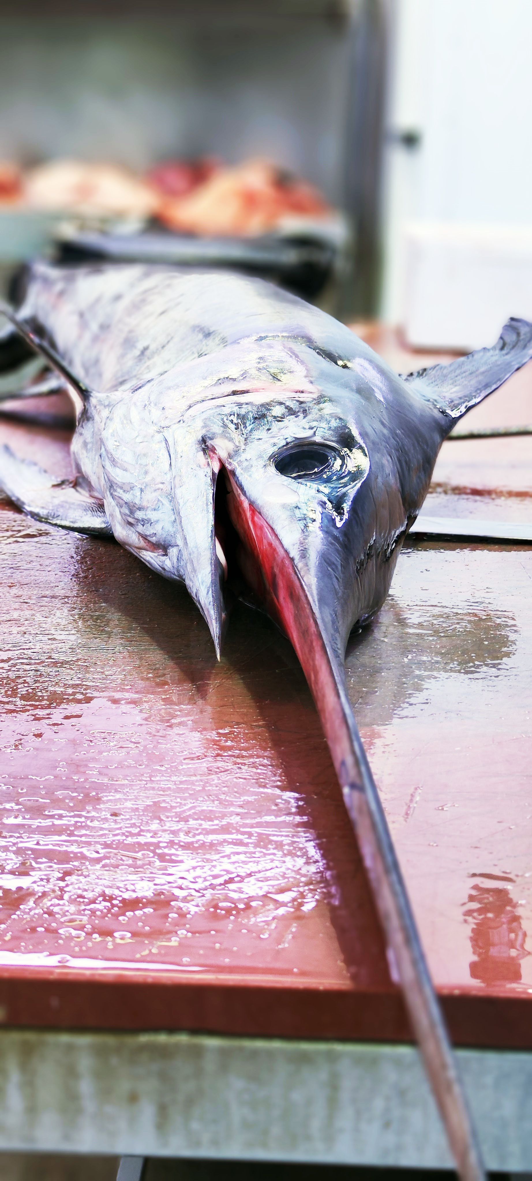 Un pez grande con una cola larga yace sobre una tabla de cortar.
