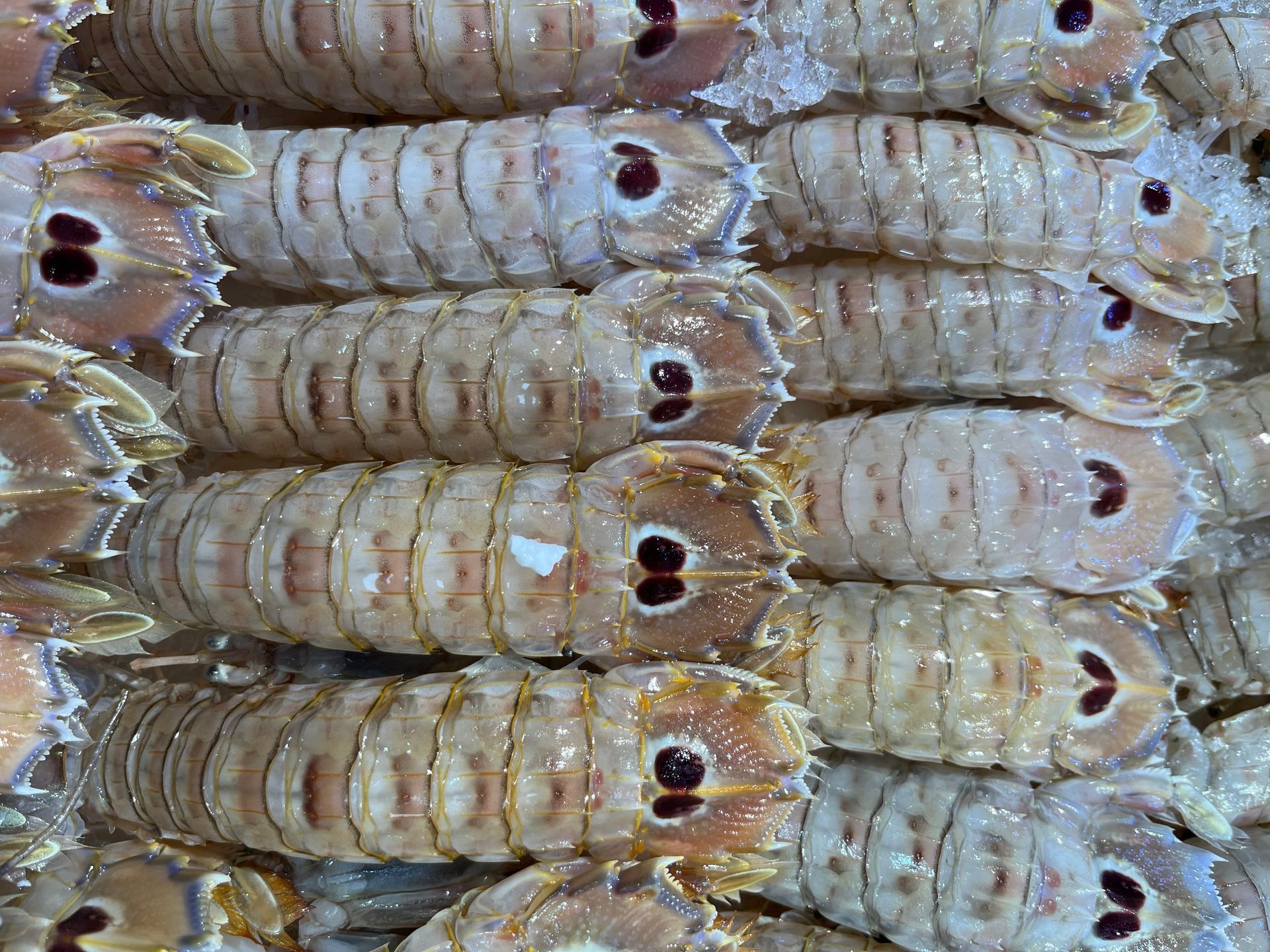 Un primer plano de una pila de camarones con ojos en ellos.