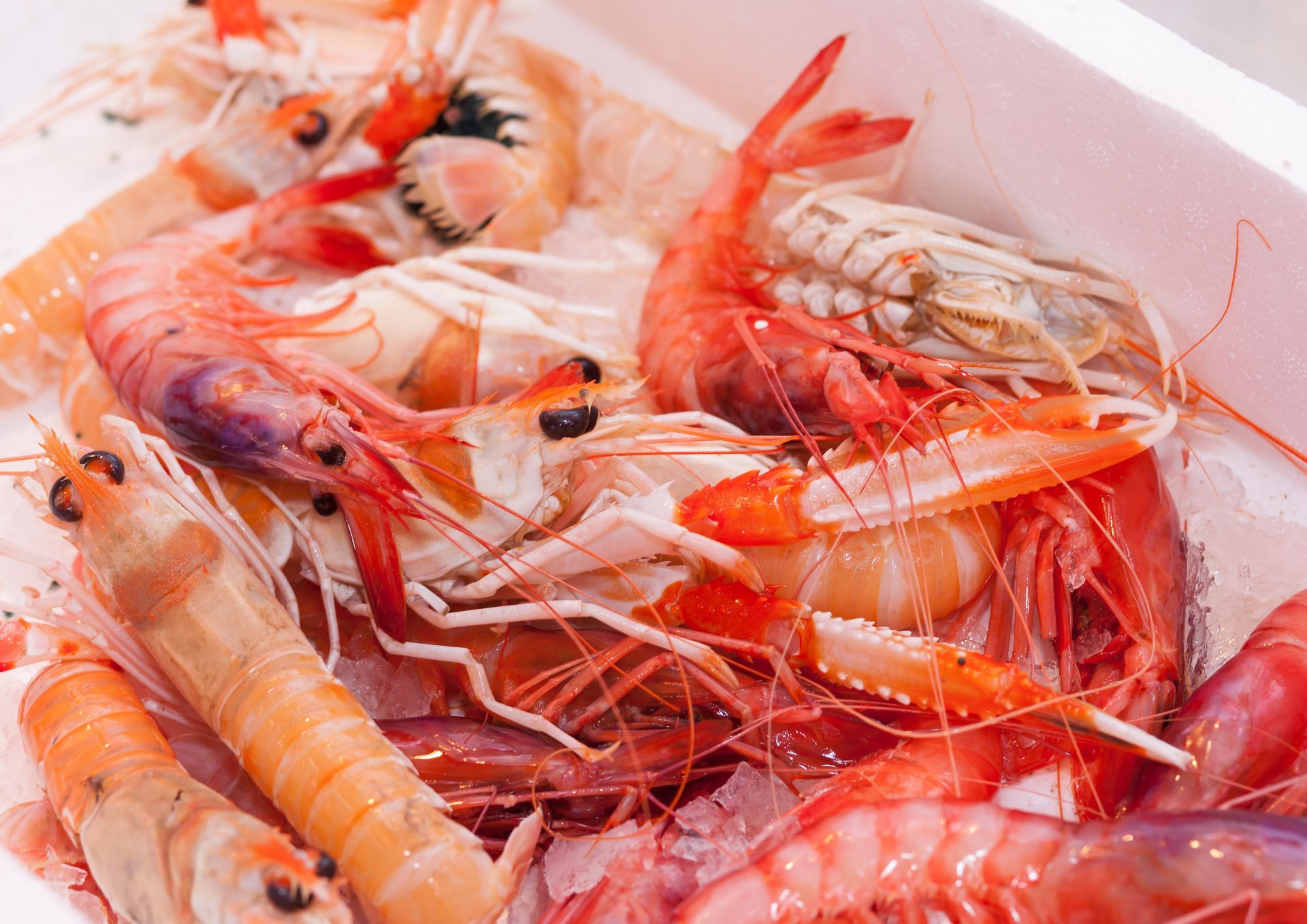 Un montón de camarones están sentados uno encima del otro en un recipiente blanco.