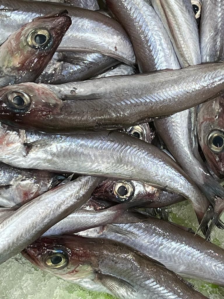 Un primer plano de una pila de pescado en el hielo.