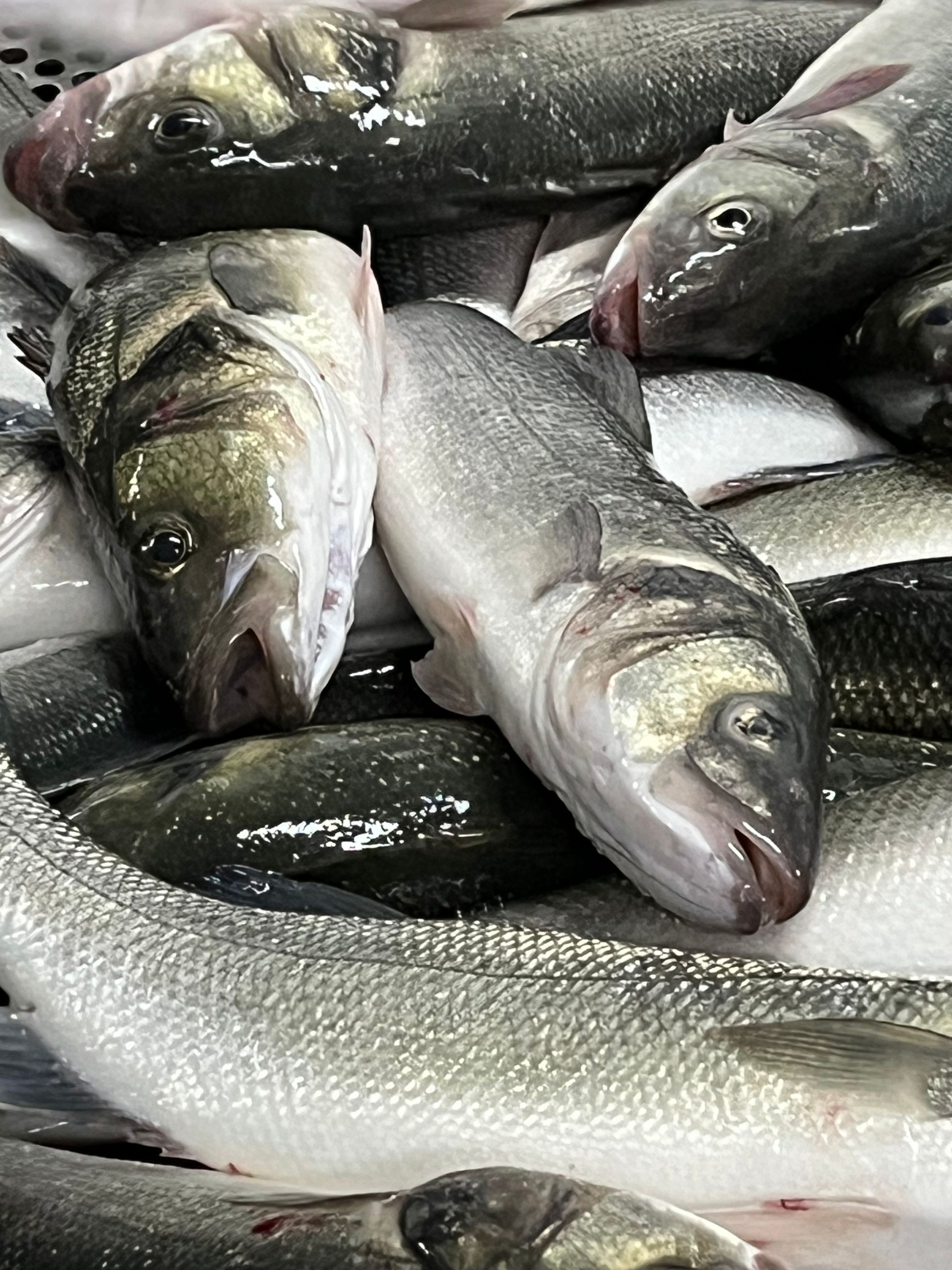 Un montón de peces están sentados uno encima del otro sobre una mesa.