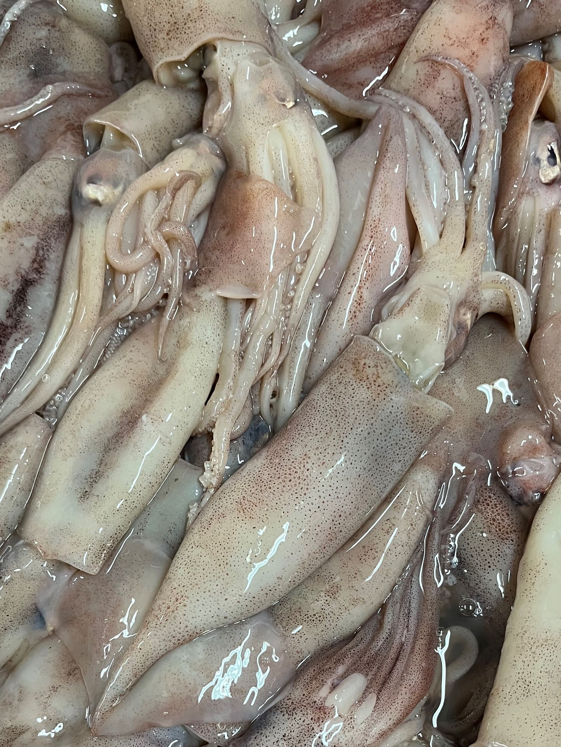 Una pila de calamares está sobre una mesa