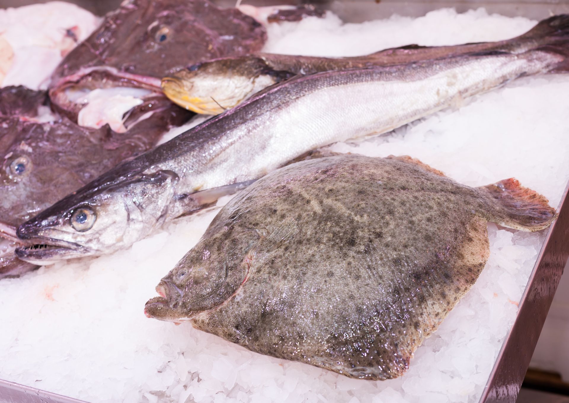 Un grupo de peces sentados sobre hielo sobre una mesa.