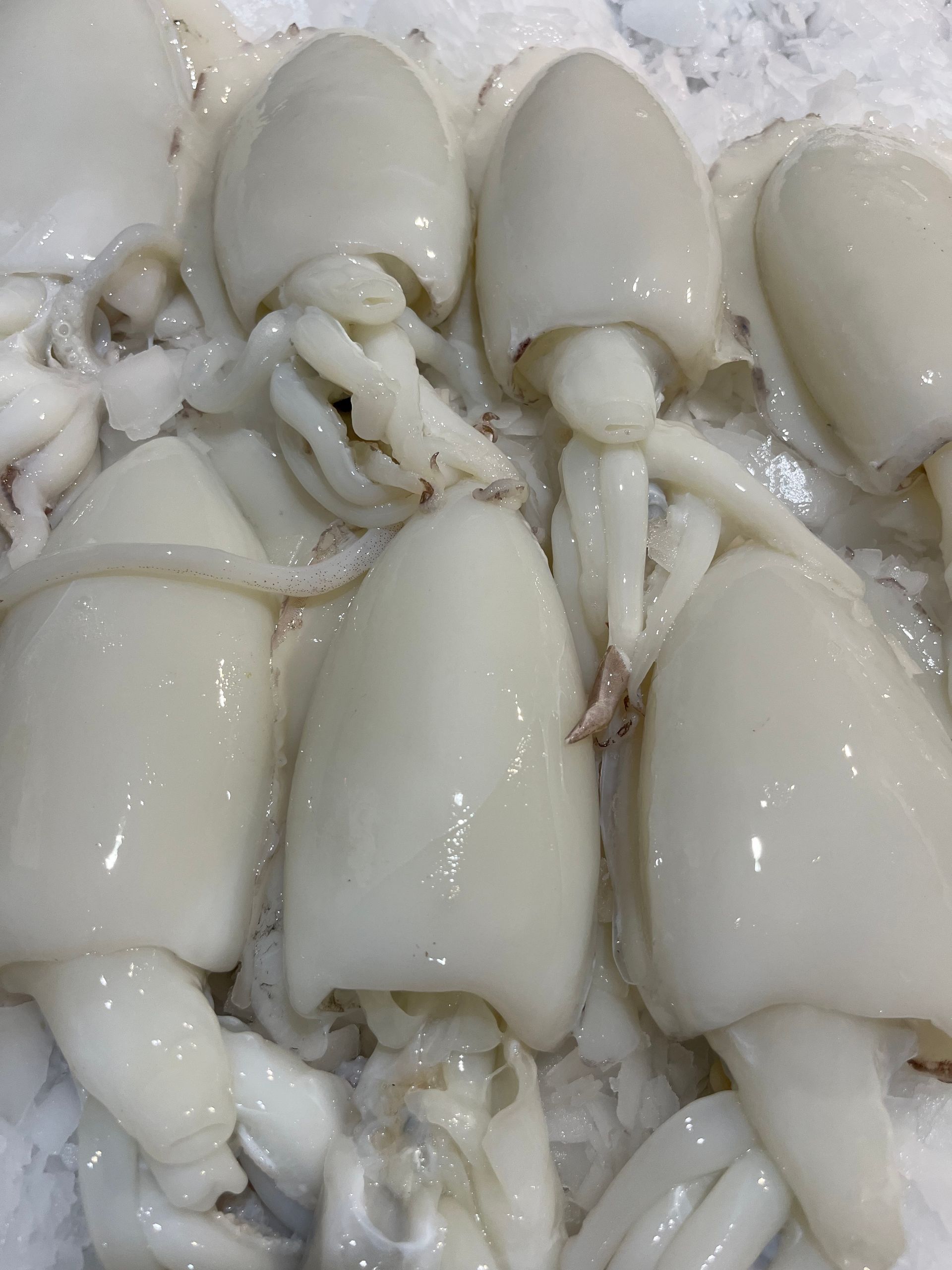 Un primer plano de una pila de calamares en el hielo.