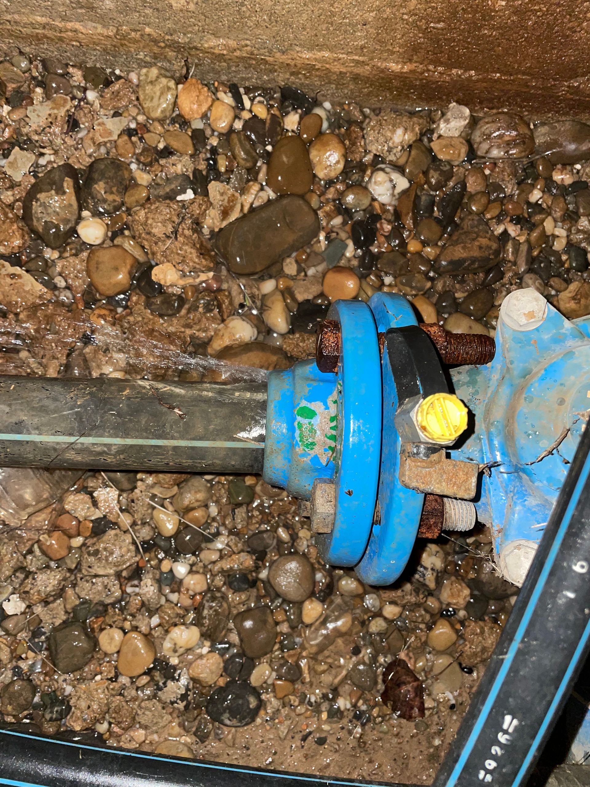 Raccord de tuyau d'eau bleu avec une fuite, installé dans une zone gravillonnée.