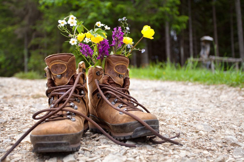 Hiking & Wellness