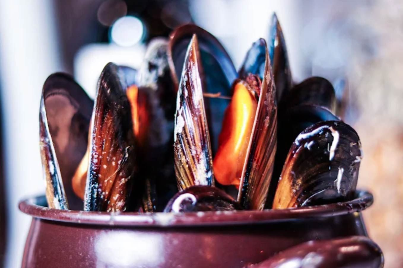 Mejillones al vapor en una olla marrón; las conchas negras y marrones se abren, revelando una carne anaranjada.