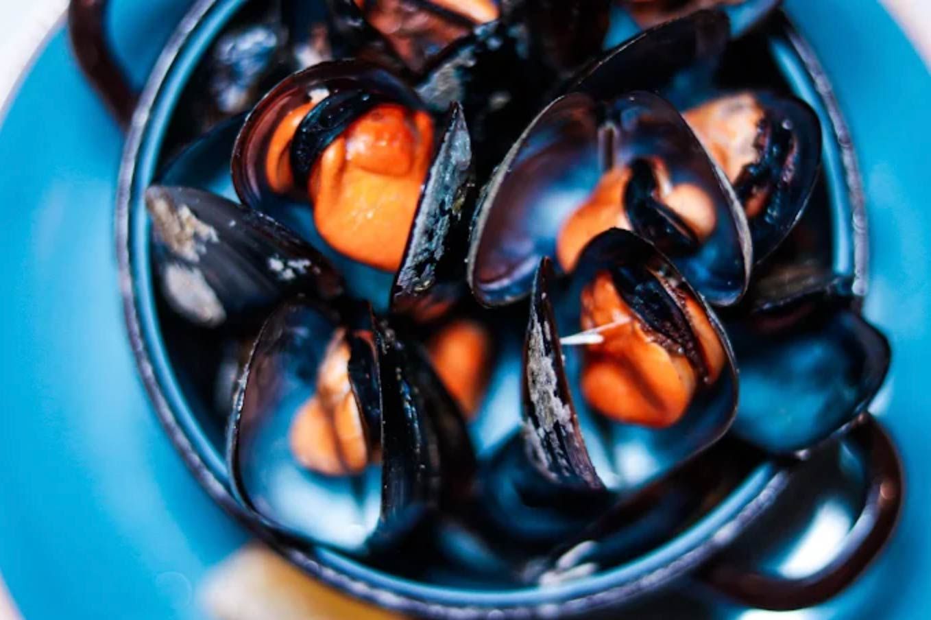 Primer plano de mejillones al vapor en un recipiente azul, con cáscaras oscuras y pulpa anaranjada.