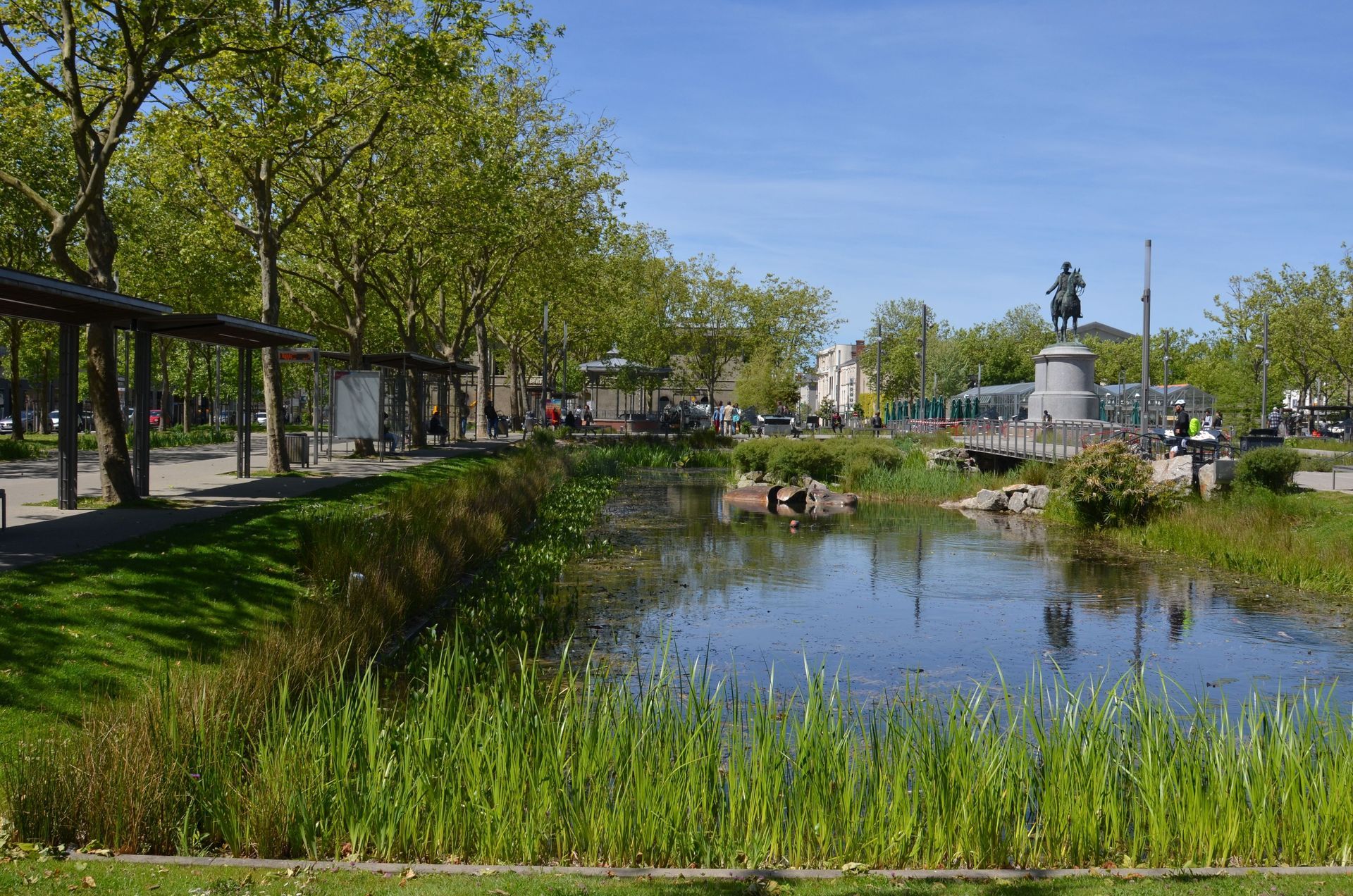 Un étang bordé de hautes herbes dans un parc, avec une statue, des arbres et une allée couverte sous un ciel bleu.