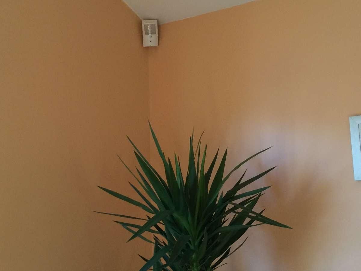 Nos Caméras discrètes!