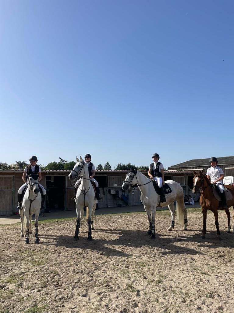 Quatre chevaux dans une carrière