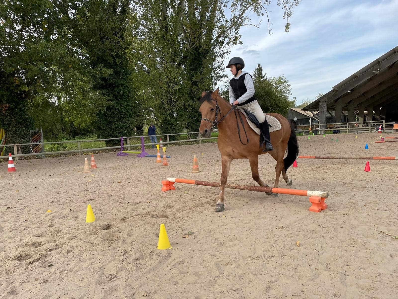 Cavalier qui fait un parcours de saut