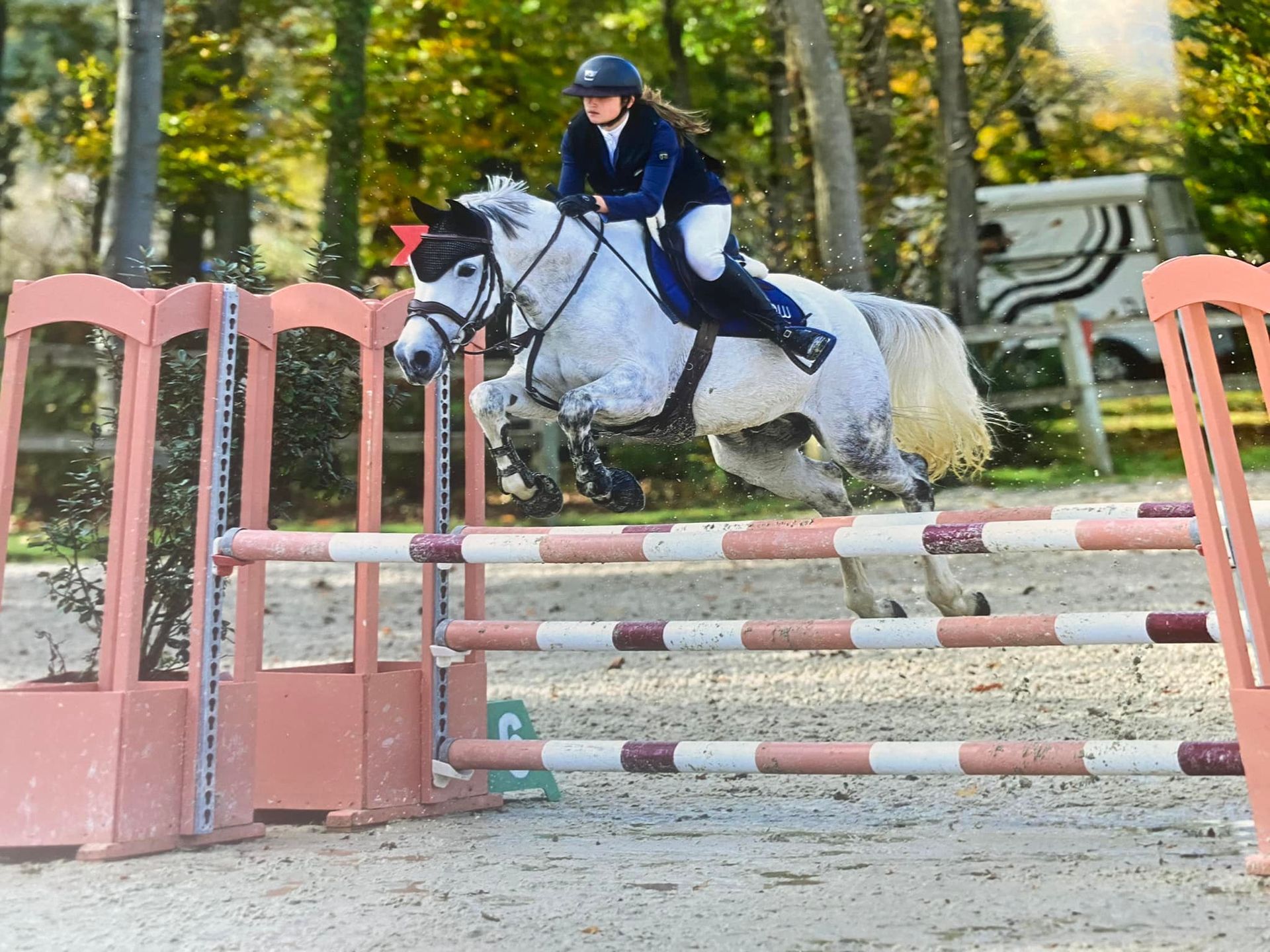 Cheval blanc qui fait un saut d'obstacles