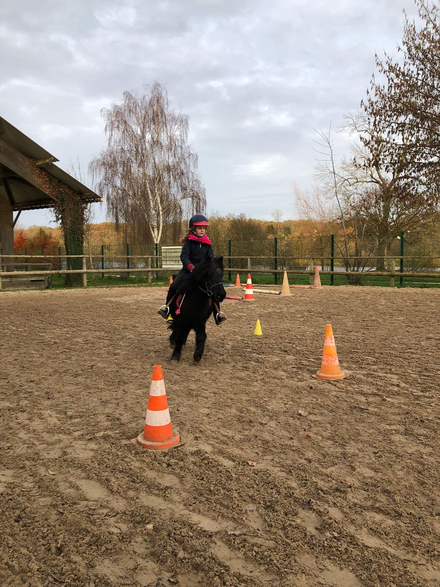 Un poney qui fait des parcours