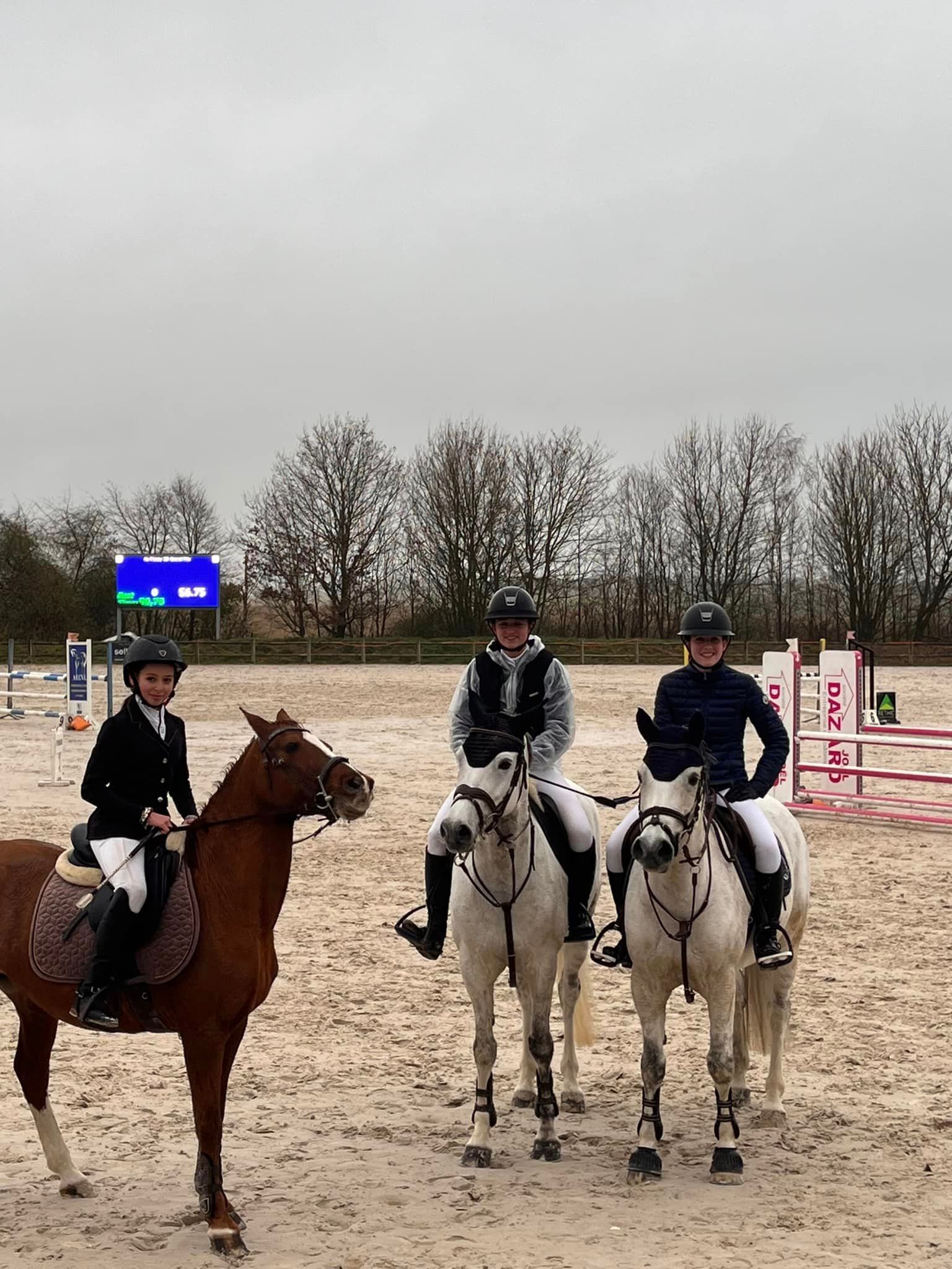 Deux chevaux blancs et un cheval noir