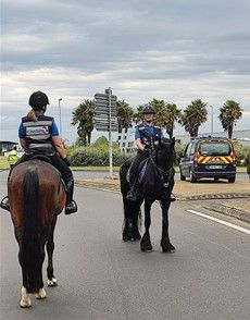 Agents de surveillance