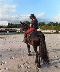 Agents de surveillance équestre