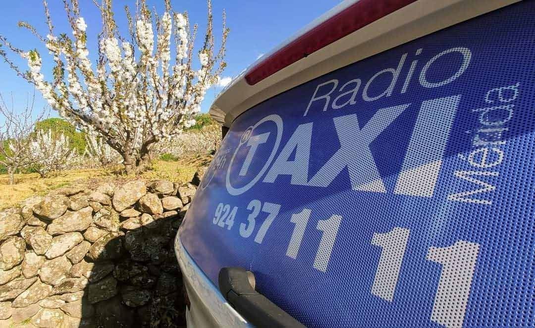Un coche azul con la palabra radio.