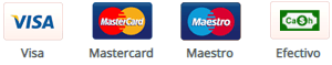 Visa, Mastercard, Maestro y Efectivo se muestran sobre un fondo blanco.