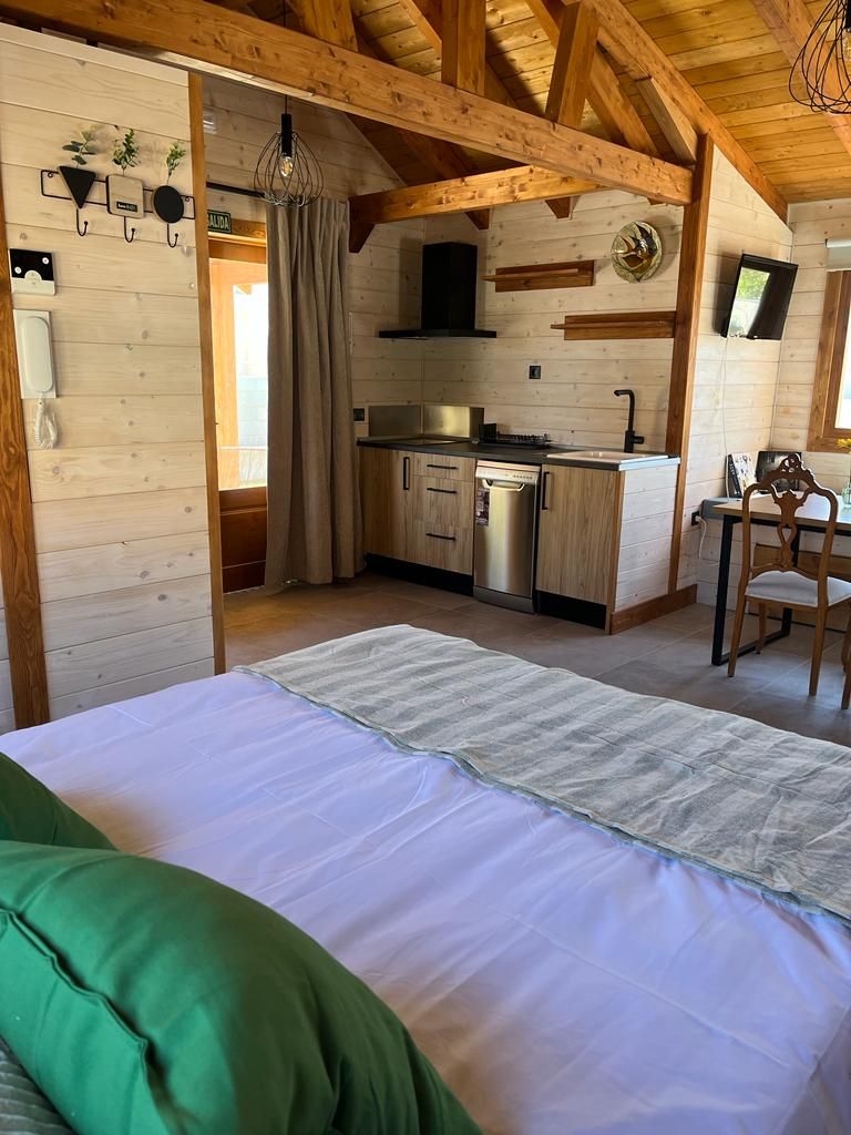 Un dormitorio con una cama y una cocina al fondo.