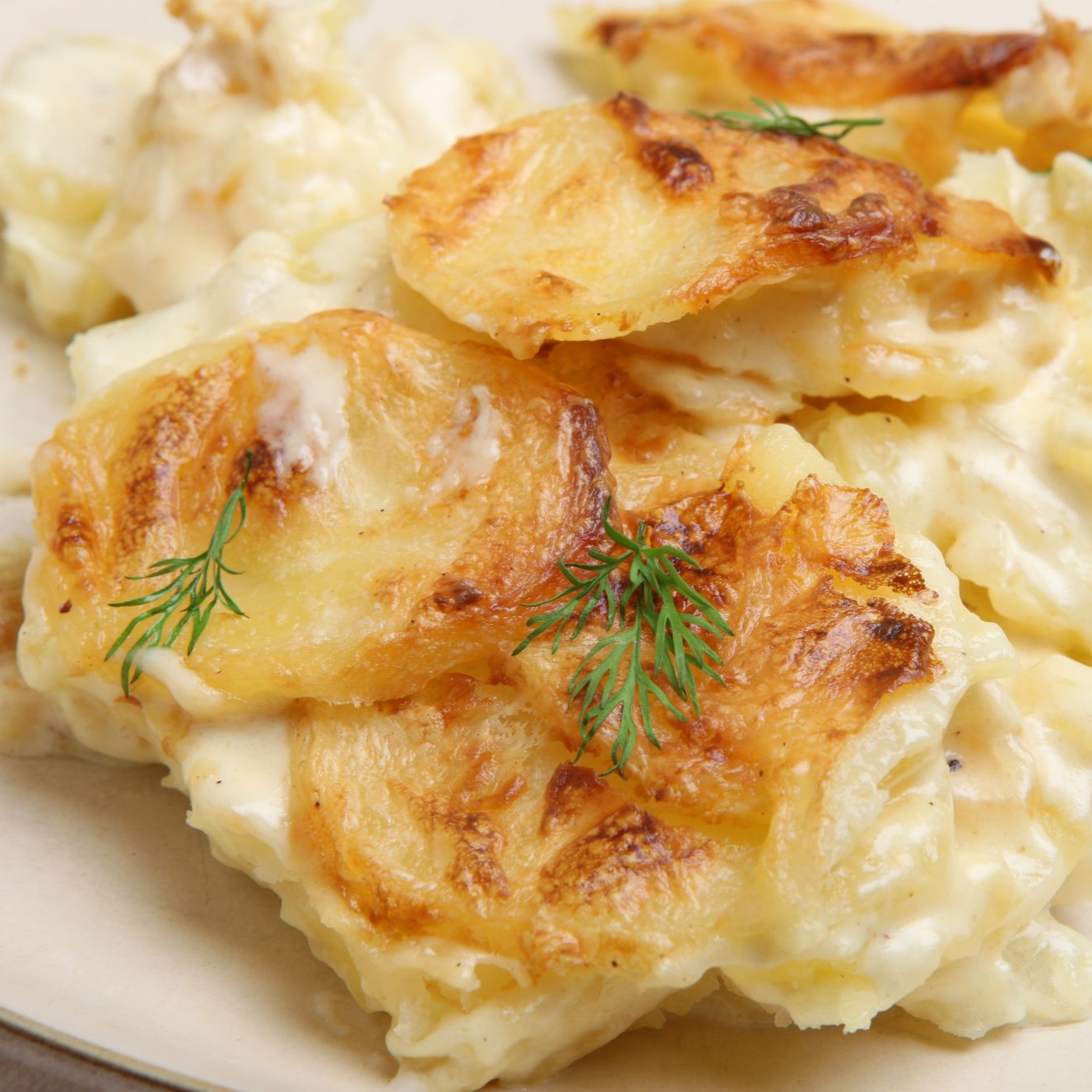 Pommes de terre gratinées avec le dessus doré et garnies d'aneth frais, servies dans une assiette.