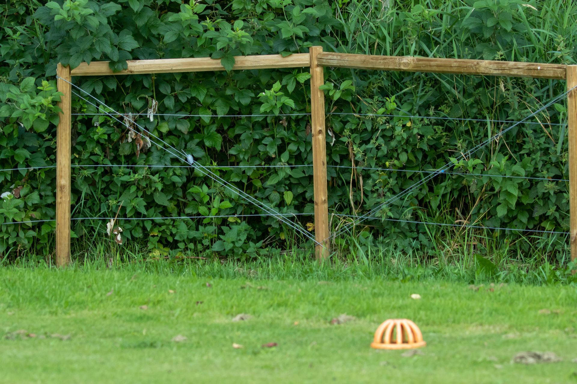 Clôture en bois dans un jardin herbeux avec clôture électrique contre les ESOD