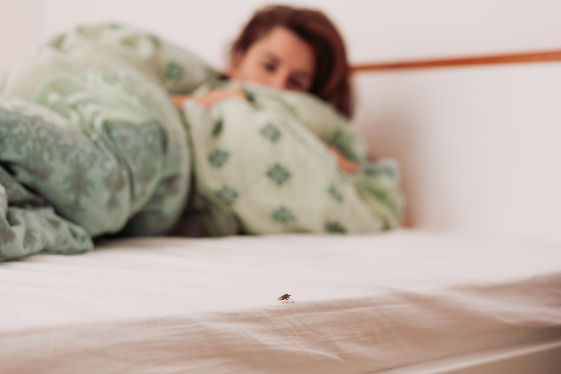 Une personne allongée dans son lit sous une couverture verte à motifs, regarde un minuscule insecte sur le drap blanc