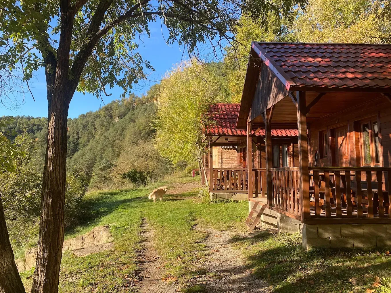 Cabañas de madera junto a un sendero cubierto de hierba bajo los árboles en un entorno rural soleado.
