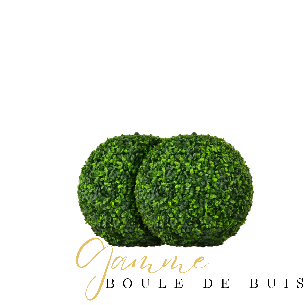 Boules de buis