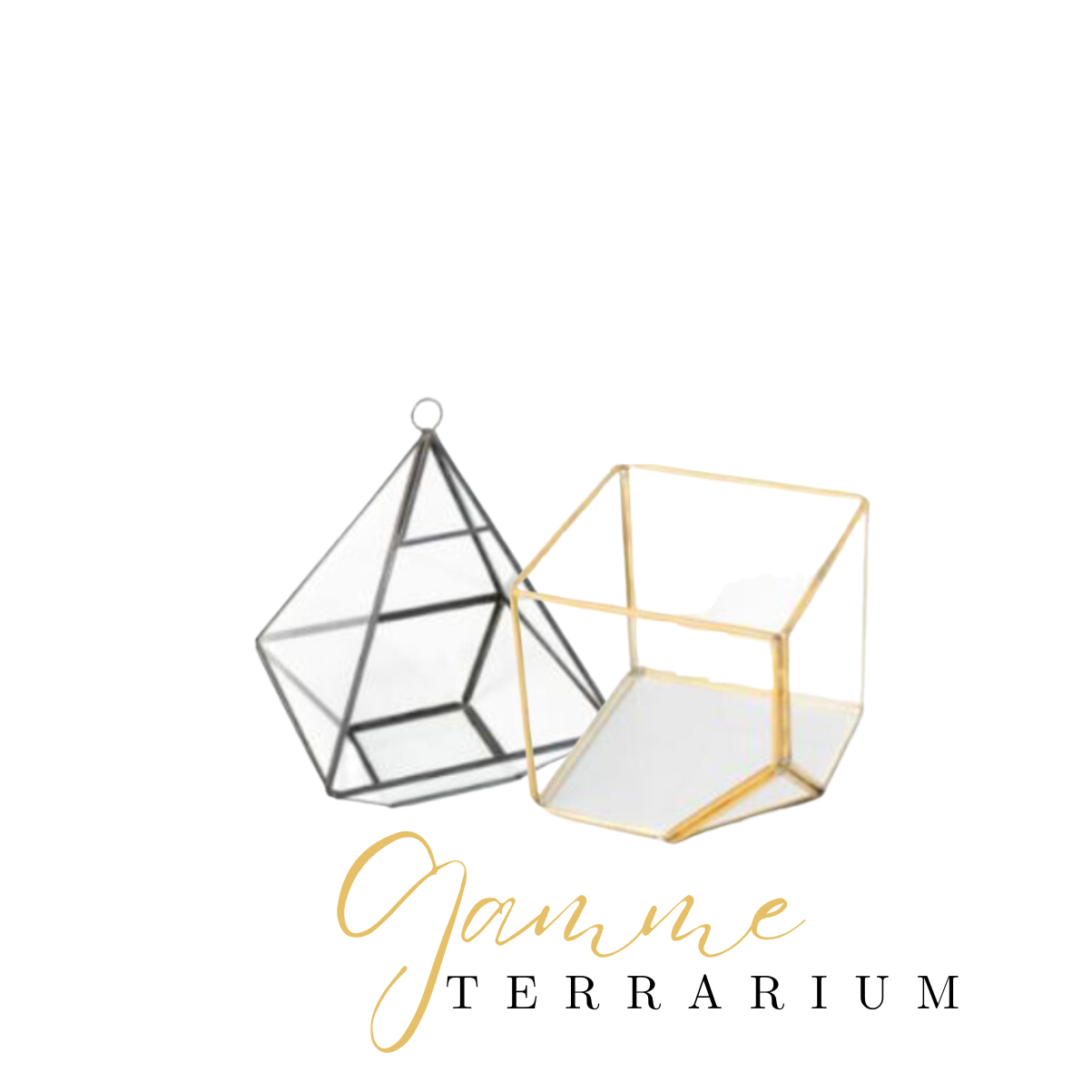 Terrarium en location