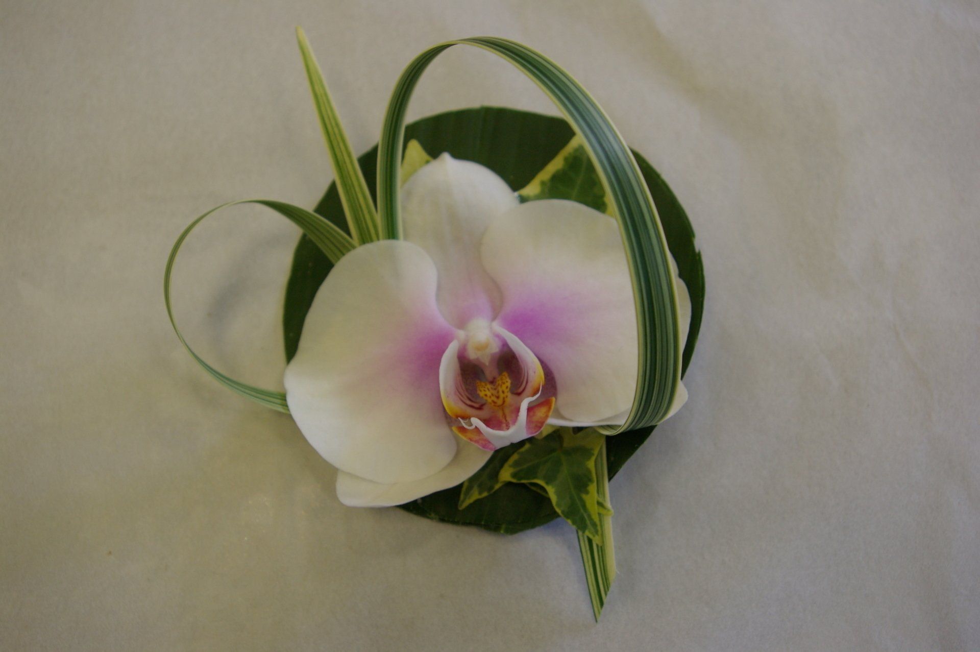 Boutonnière orchidée